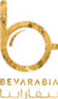 100logo.png