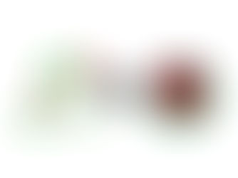 Bio Suisse vs. IP-SUISSE: Nachhaltigkeits-Labels im Vergleich