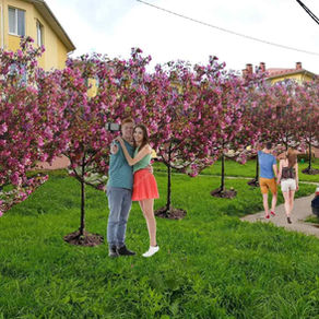 Начали посадку Аллеи Добрососедства