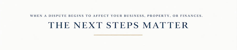 Elegant Navy and Gold Legal Banner_edited.jpg
