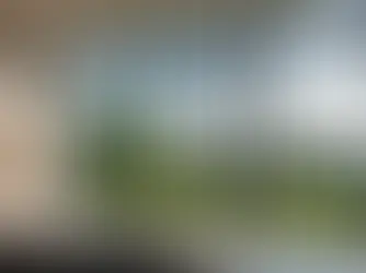 Why Window Tints are a Viable Option over Blinds and Curtains in the UK