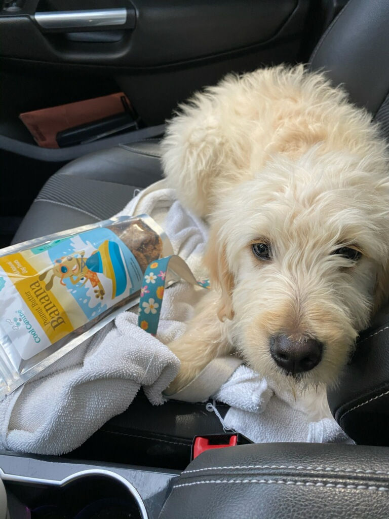 Maggie Mae