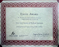 IaSMA 2025 execl award.jpg