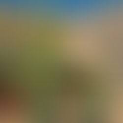 Q-TAG Schule Thurgauerstrasse - Genuss & Nachhaltigkeit