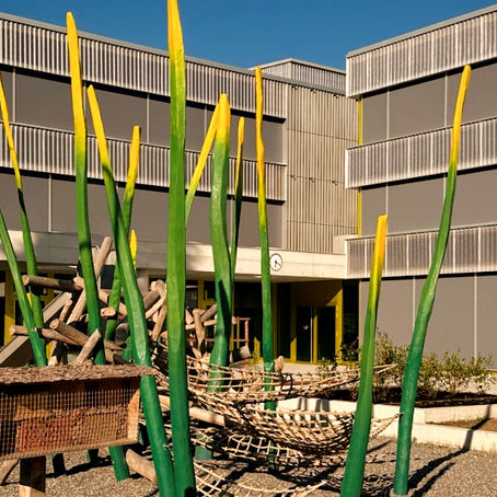 Q-TAG Schule Thurgauerstrasse - Genuss & Nachhaltigkeit