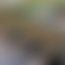 HERBSTAPERO – Klimafreundliche Snacks und Teamarbeit