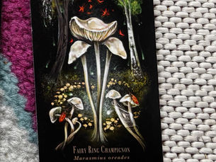 The Fairy Ring: On crisis, collapse, the dark night of the soul