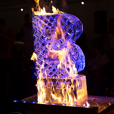 ice & fire show