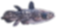 314a982b2fb79d1b0c168468542c1cea_edited.