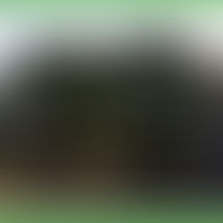 ¡CODES es VERDE…!