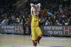 האהבה והמזל שלנו איתנו