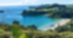 waiheke.jpeg