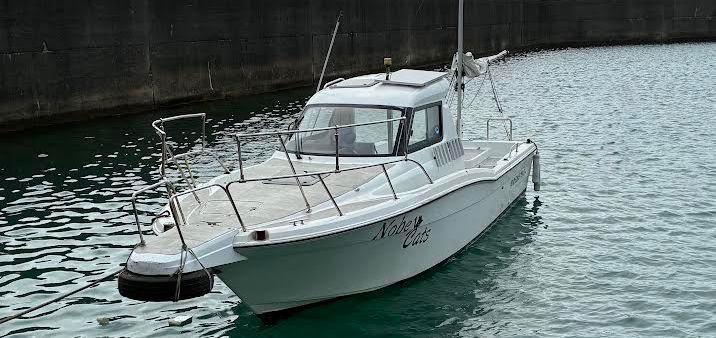 奄美大島 ジギング 遊漁船