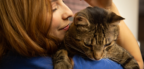 Playa-Vista-Pet-Care-LA-girl-petting-cat