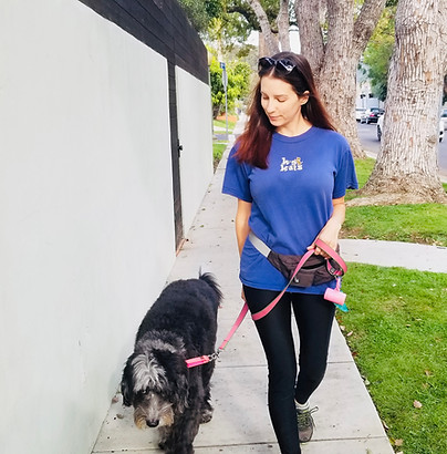 Playa-Vista-Pet-Walks-LA