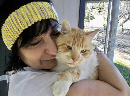 Beverlywood-Kitten-Friendly-Home-Consultation