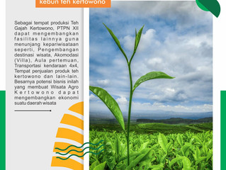 KEBUN TEH KERTOWONO GUCIALIT