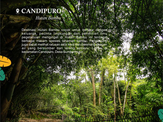 LIBURAN SERU DI CANDIPURO