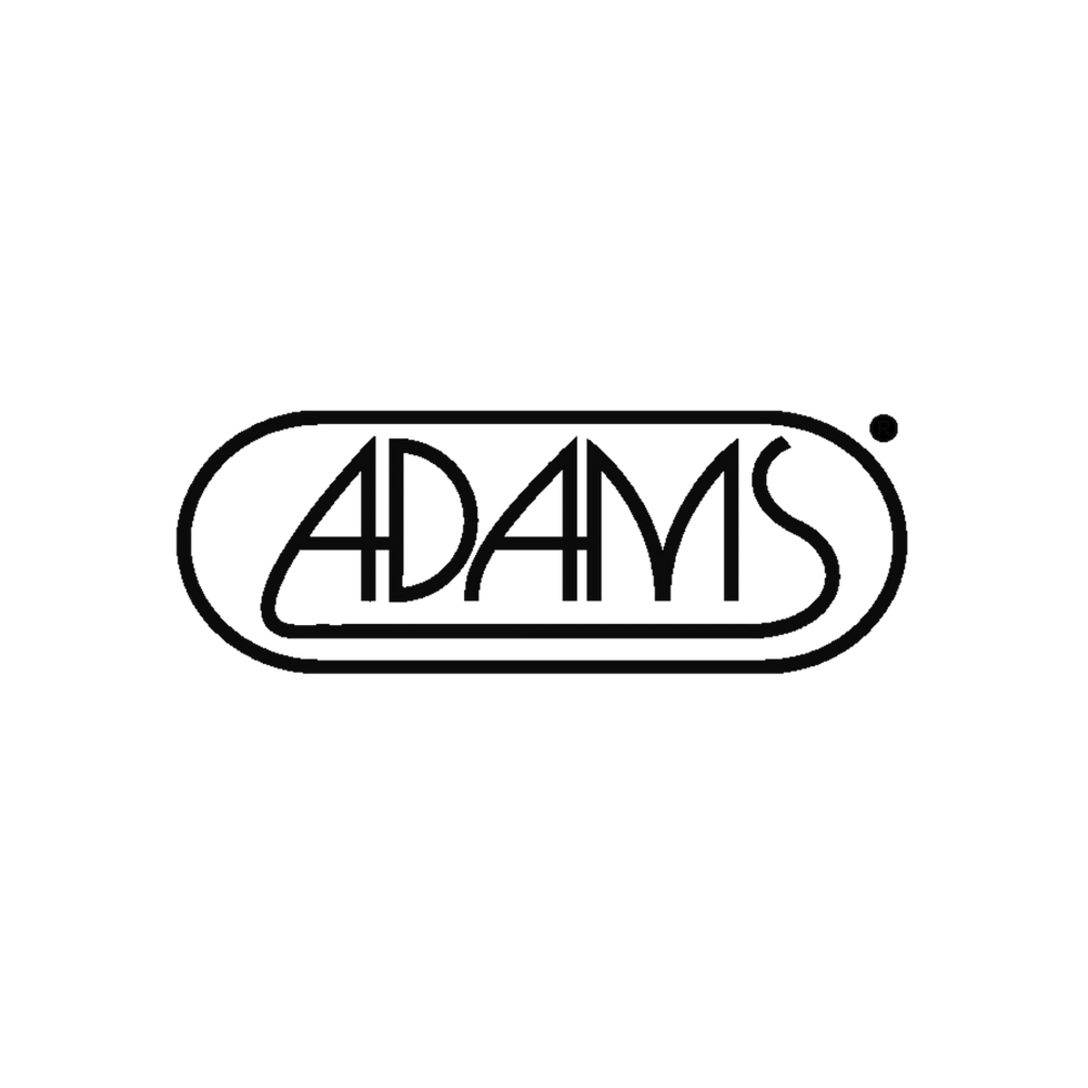 AVS Logos (28).png