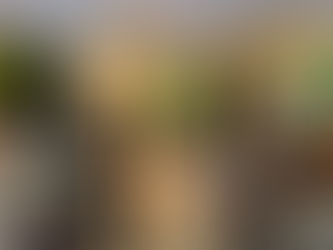 Noch 2x Mittwochsbewirtung