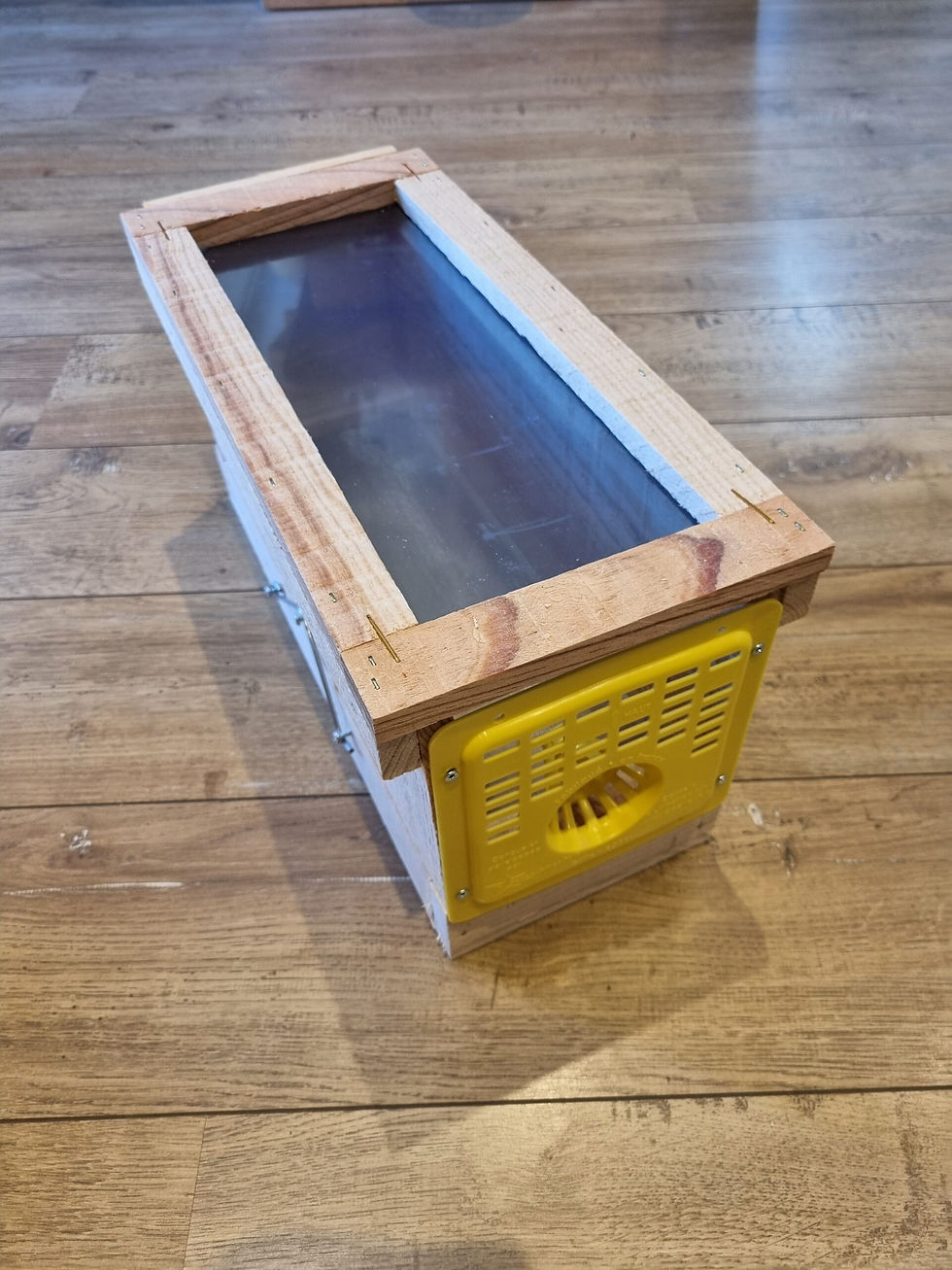 Piège sélectif frelon asiatique – fabrication française