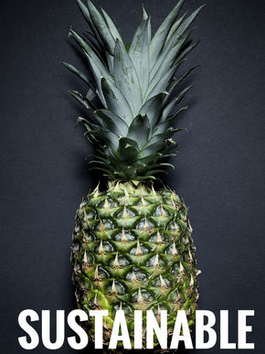 OhGio pineapple leaf wallets.jpeg