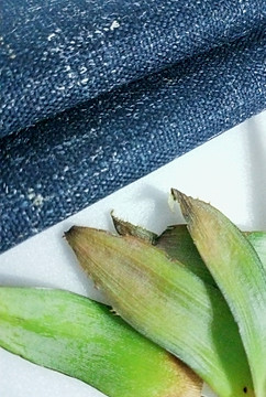 IMG20220126001256_edited_edited.jpg