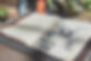 Botanisches Buch