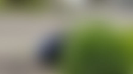 地域清掃活動を実施しました!