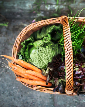 Fresh Vegetables in Basket