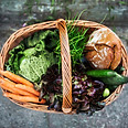 Fresh Vegetables in Basket