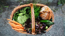 Stress and Nutrition