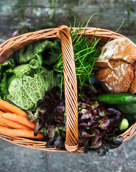 Fresh Vegetable in Basket