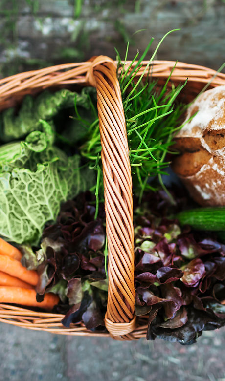 Fresh Vegetable in Basket