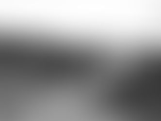 Stalemate on the Western Front