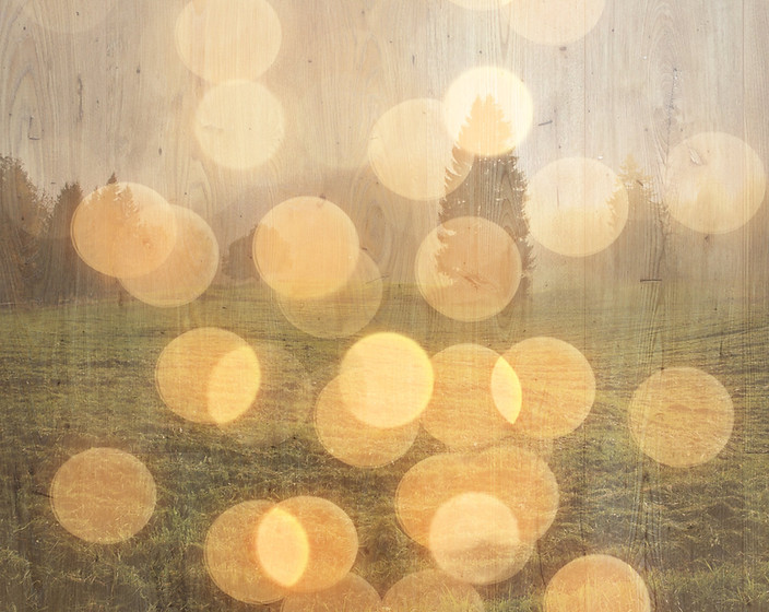 Canva%20-%20Foggy%20Sunny%20Forest_edite