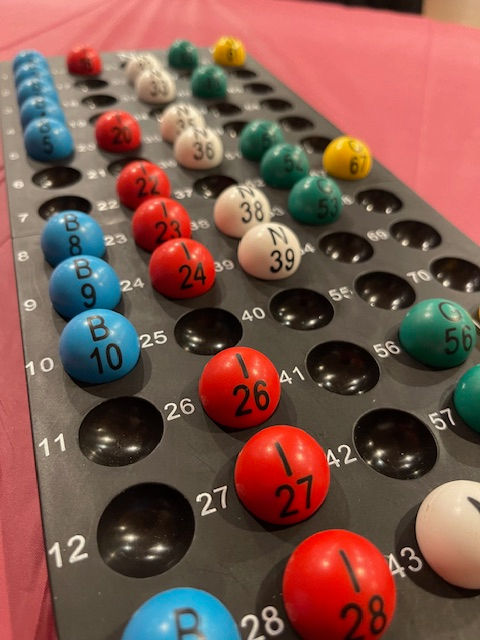 Bingo is Back!