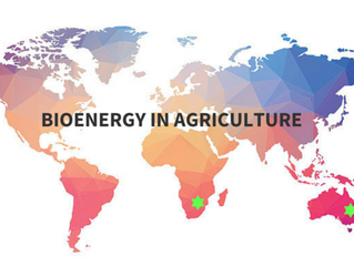 Increased Interest in Bioenergy Systems for Agriculture