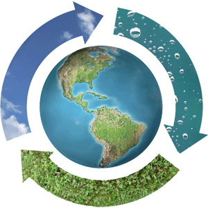 cobtech renewables biomass
