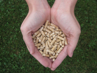 Why Use Wood Pellets for Heating?