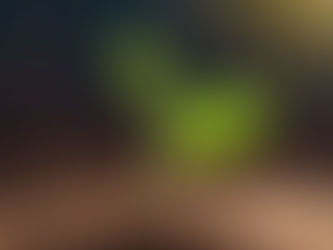 Jan 3 2024: First online hookup – The dormant seed and the baby tortoises