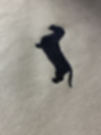 Logo su felpa