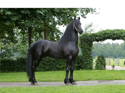 EDS - Diaporama Accueil 8