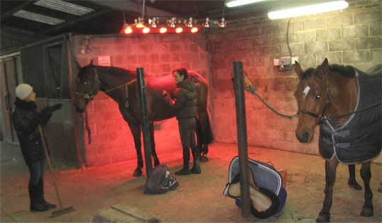 EDS - Solarium.   16