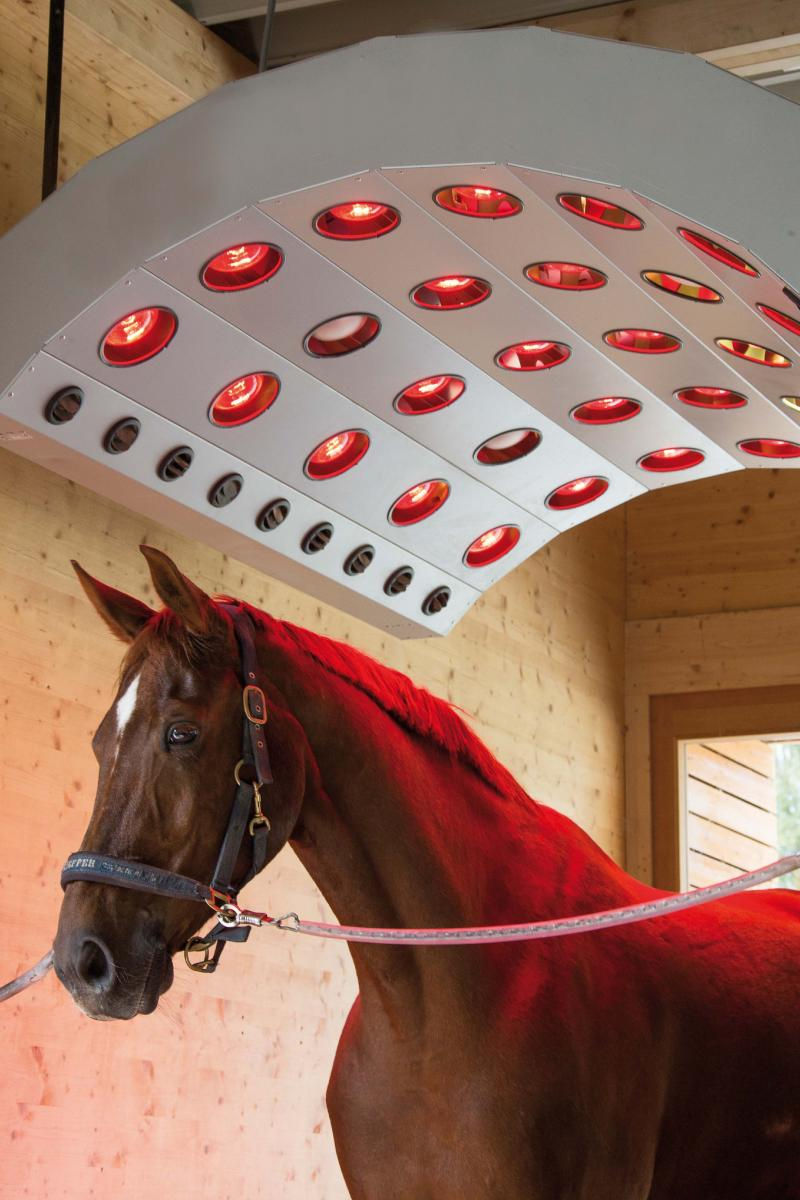 EDS - Solarium.   14