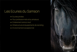 diaporama accueil cheval 7