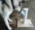 20251009_145107.jpg