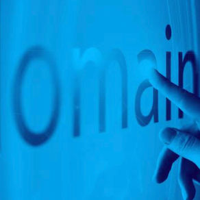 Protection of Domain Names