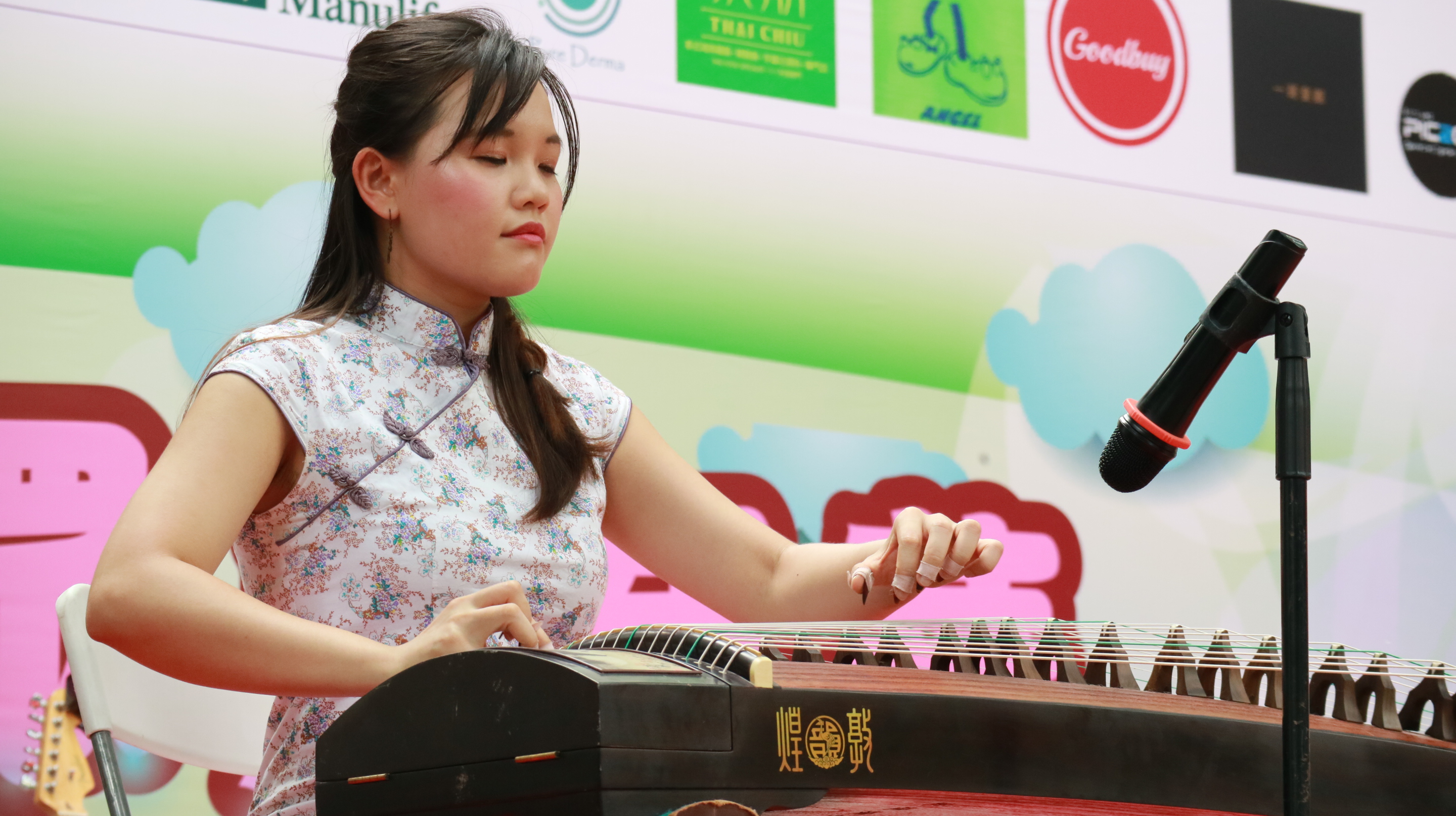 Guzheng Performance
