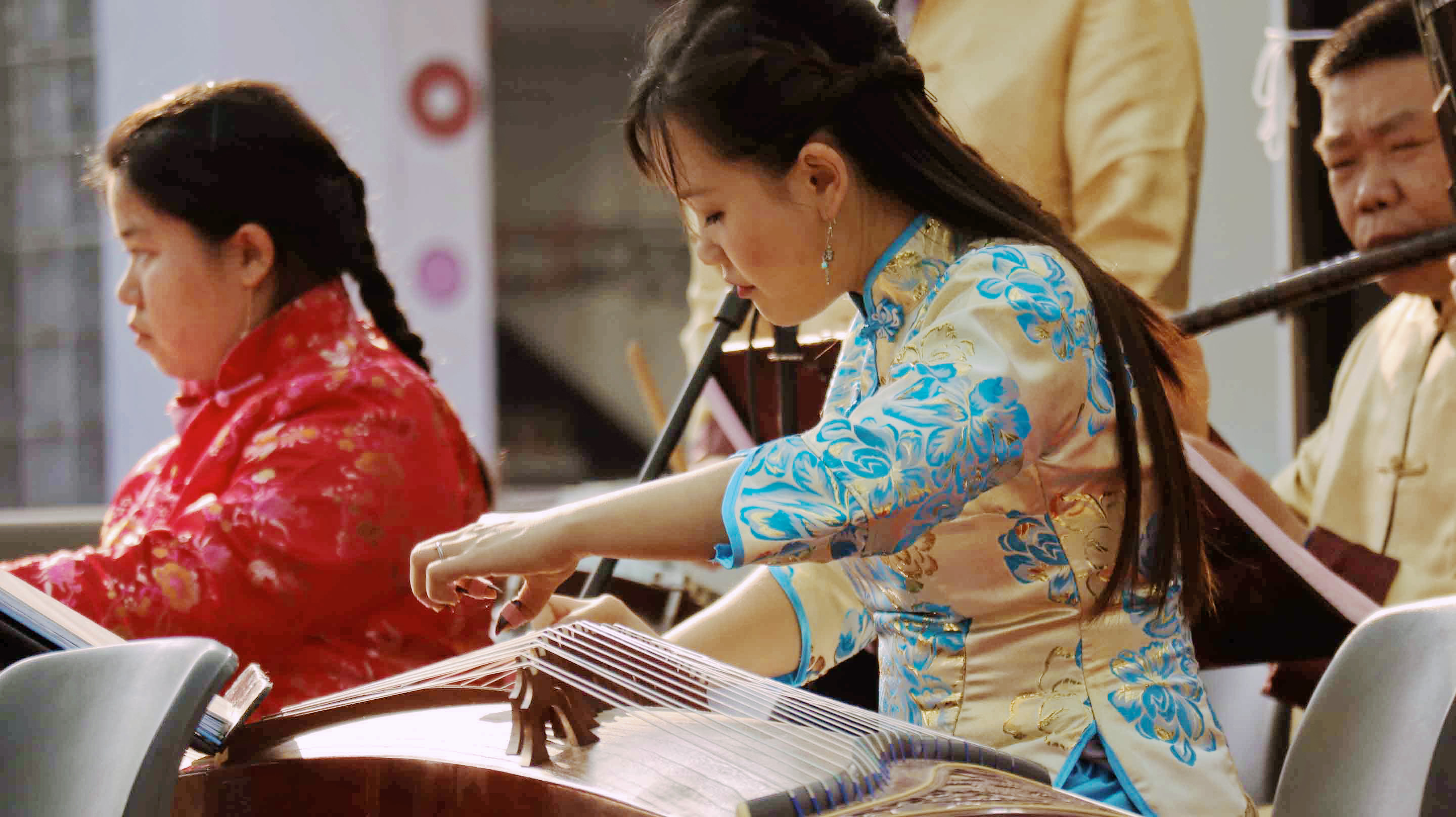 Guzheng Performance
